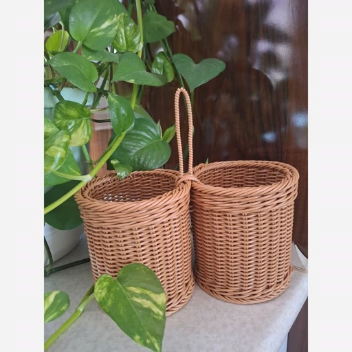 چاقاشقی دوقلو،حصیری